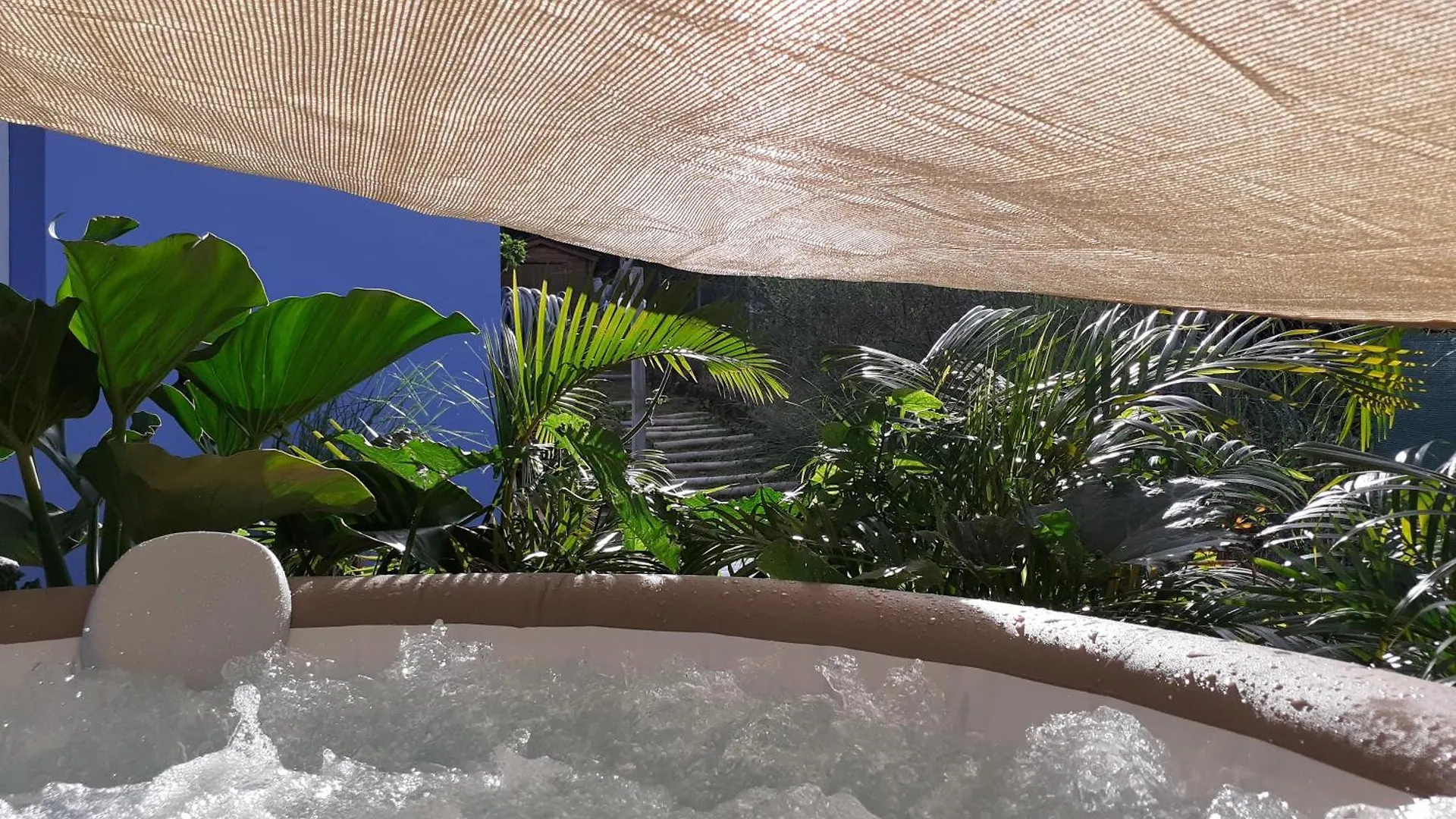 A L'Arche Bleue Hotel Le Robert Martinique