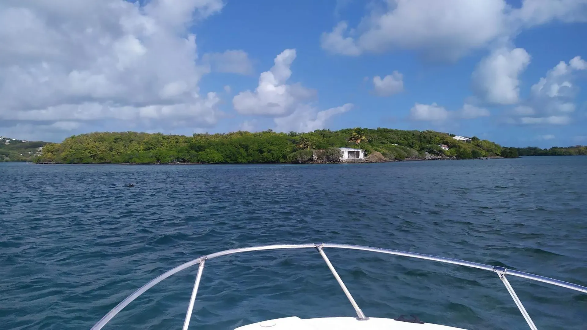 Guest house A L'Arche Bleue Hotel Le Robert Martinique