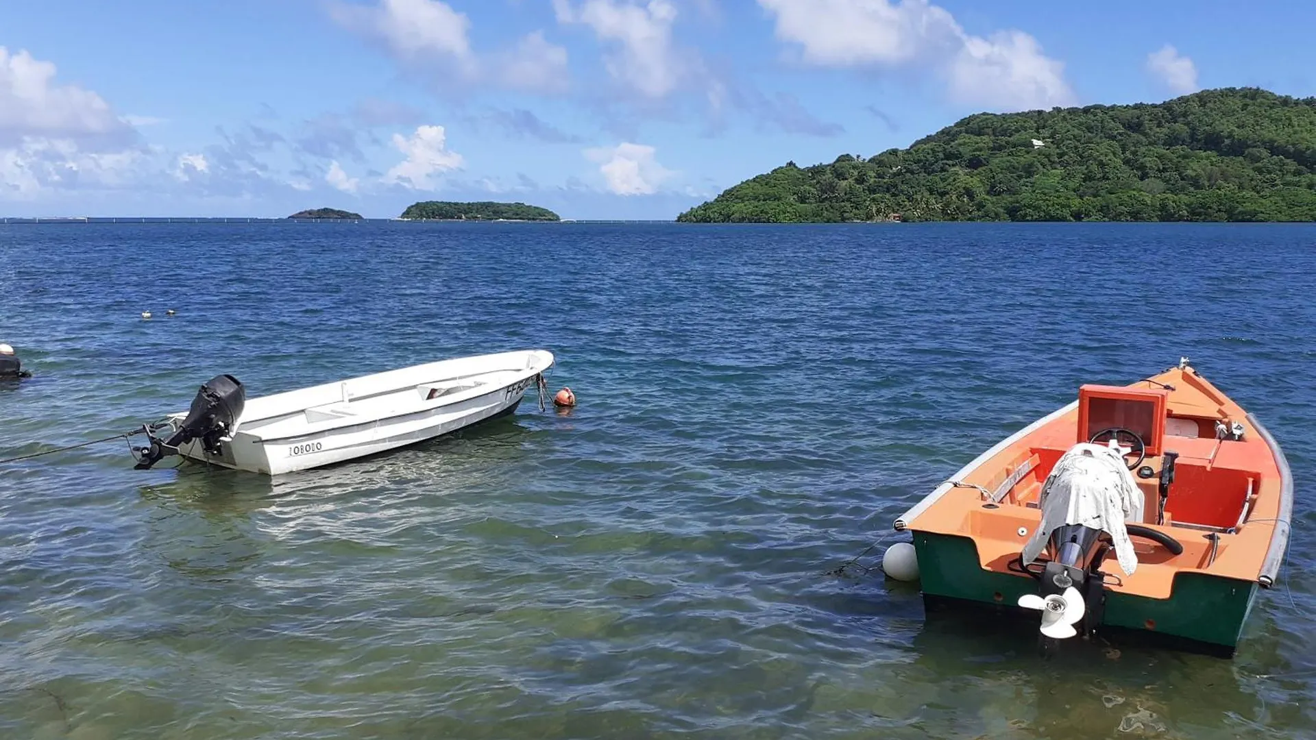 A L'Arche Bleue Hotel Le Robert Martinique