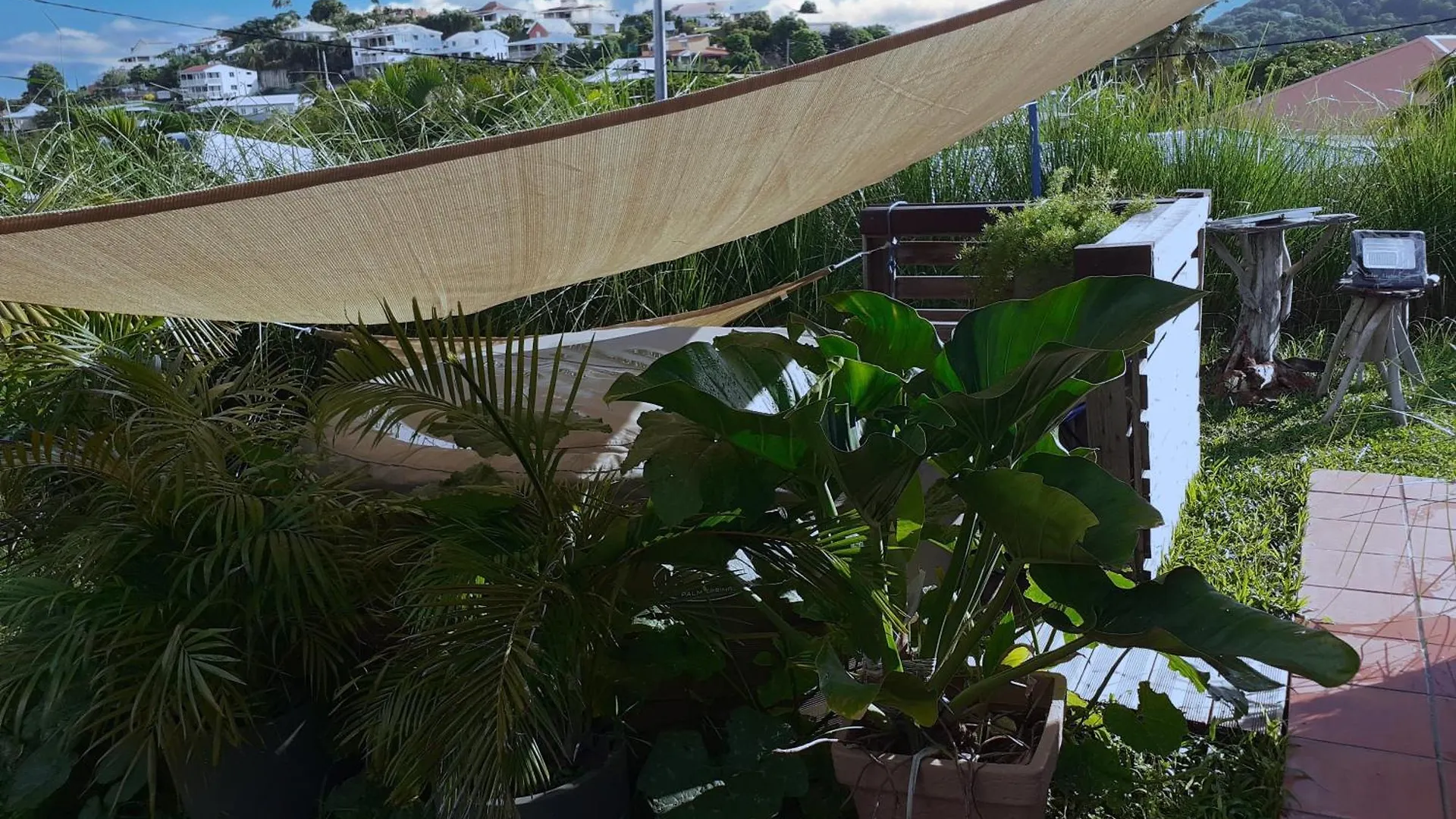 A L'Arche Bleue Hotel Le Robert Martinique